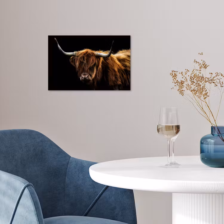 Schotse Hooglander - Horens - Zwart - Dieren - Natuur - Wild - Koe poster papier klein -sfeer3