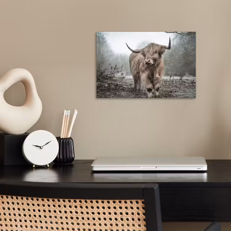 Schotse hooglander - Natuur - Herfst - Dieren - Wild - Bos poster papier klein -sfeer1
