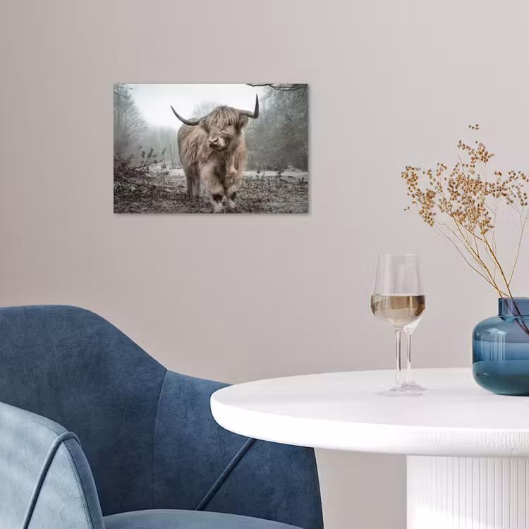 Schotse hooglander - Natuur - Herfst - Dieren - Wild - Bos poster papier klein -sfeer3