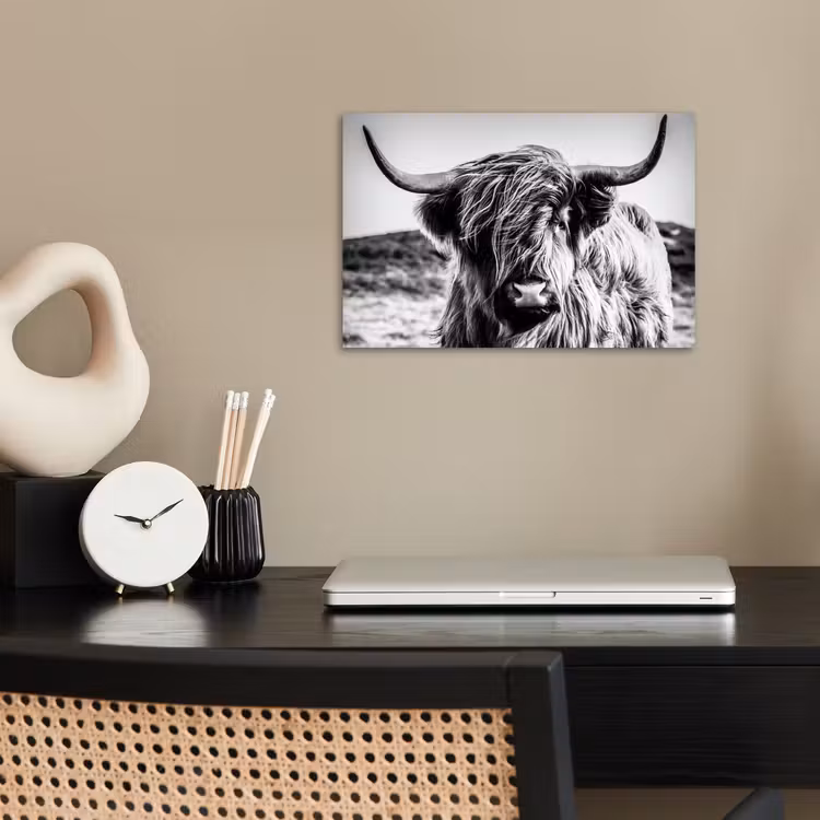 Schotse hooglander - Natuur - Koe - Zwart - Wit poster papier klein -sfeer1