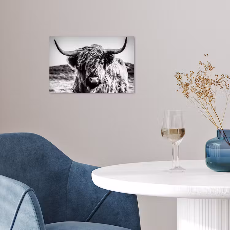Schotse hooglander - Natuur - Koe - Zwart - Wit poster papier klein -sfeer3