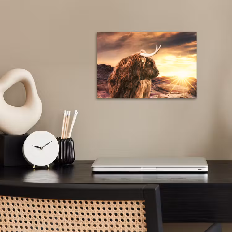 Schotse hooglander - Zon - Horizon - Koe - Dieren poster papier klein -sfeer1