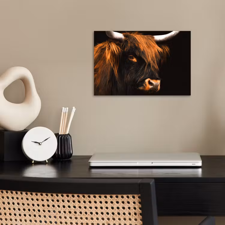 Schotse hooglander - Zwart - Koe - Hoorn - Dieren poster papier klein -sfeer1