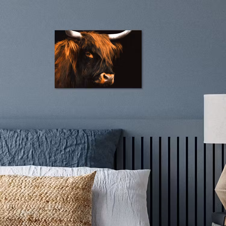 Schotse hooglander - Zwart - Koe - Hoorn - Dieren poster papier klein -sfeer2