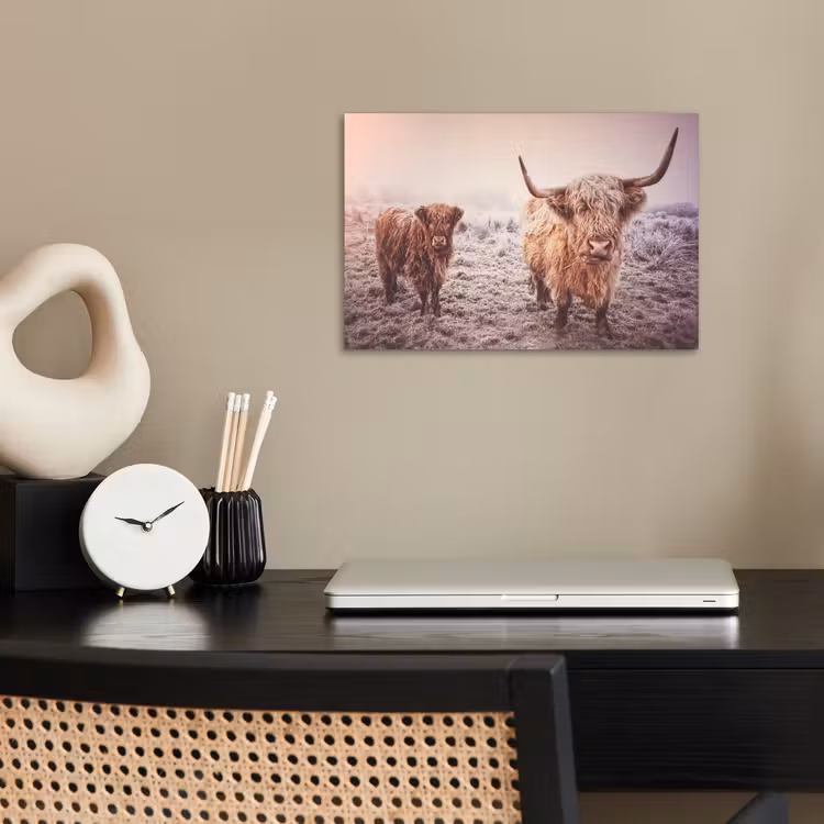 Schotse hooglanders - Licht - Lucht - Natuur poster papier klein -sfeer1