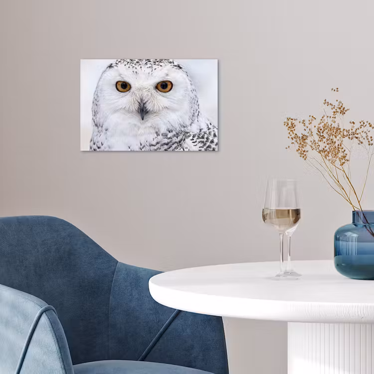 Sneeuwuil - Oog - Wildlife - Wit poster papier klein -sfeer3