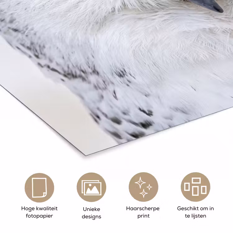 Sneeuwuil - Oog - Wildlife - Wit poster papier klein -closeup_NL