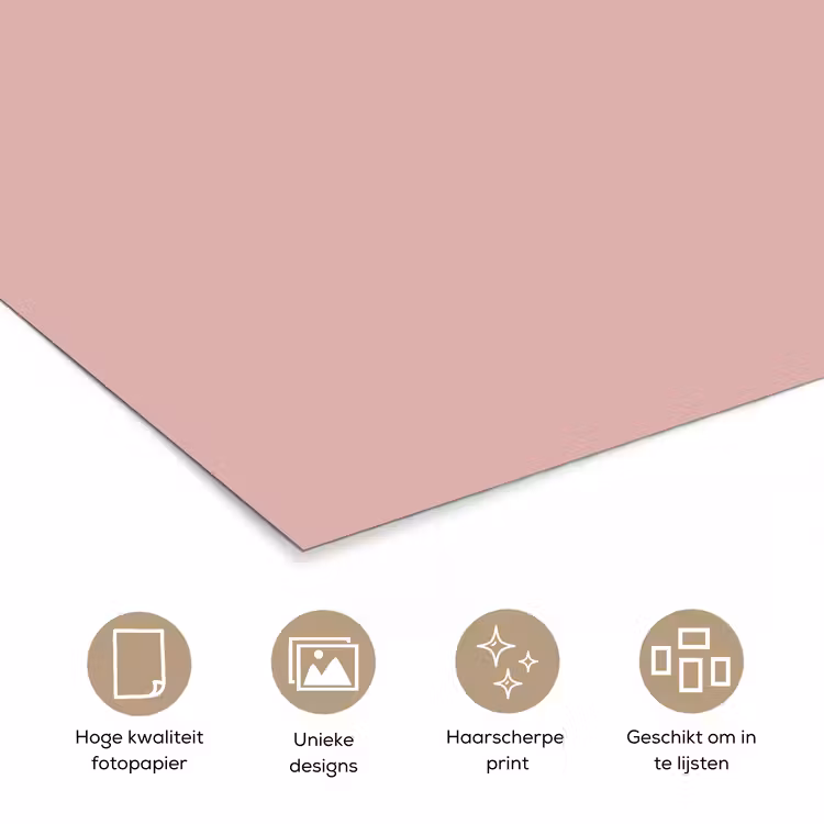 Soft - Blush - Roze poster papier klein 62 -closeup_NL