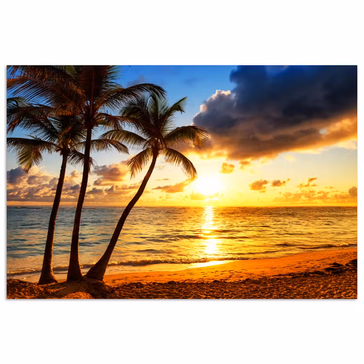 Strand - Horizon - Zonsondergang - Palmboom - Zee poster papier klein -3d