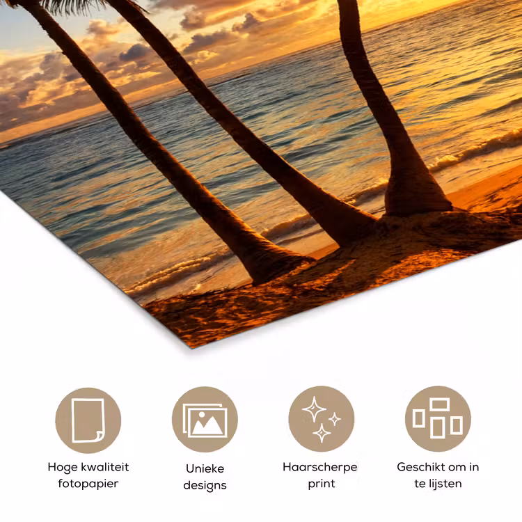 Strand - Horizon - Zonsondergang - Palmboom - Zee poster papier klein -closeup_NL