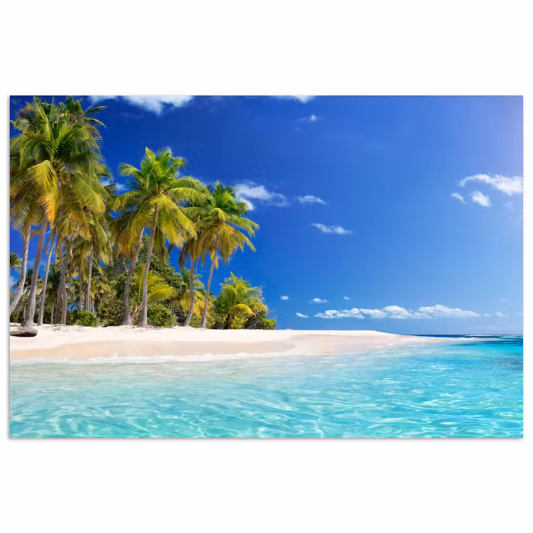 Strand - Zee - Palmboom - Zon - Zomer poster papier klein -3d