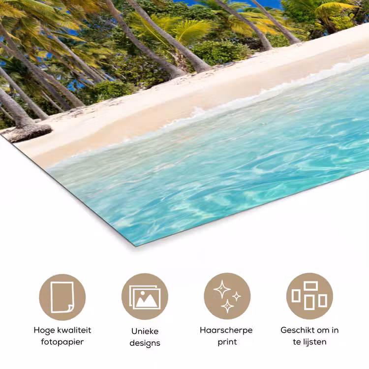 Strand - Zee - Palmboom - Zon - Zomer poster papier klein -closeup_NL