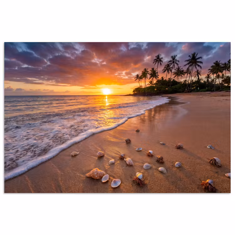 Strand - Zonsondergang - Palmbomen - Natuur - Oranje poster papier klein -3d