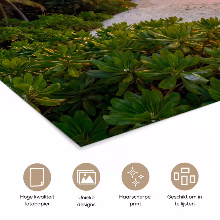 Strand - Zonsondergang - Palmbomen - Tropisch - Natuur poster papier klein -closeup_NL