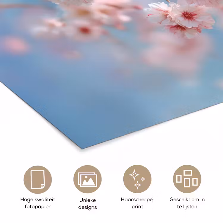 Takken - Bloesems - Roze poster papier klein -closeup_NL