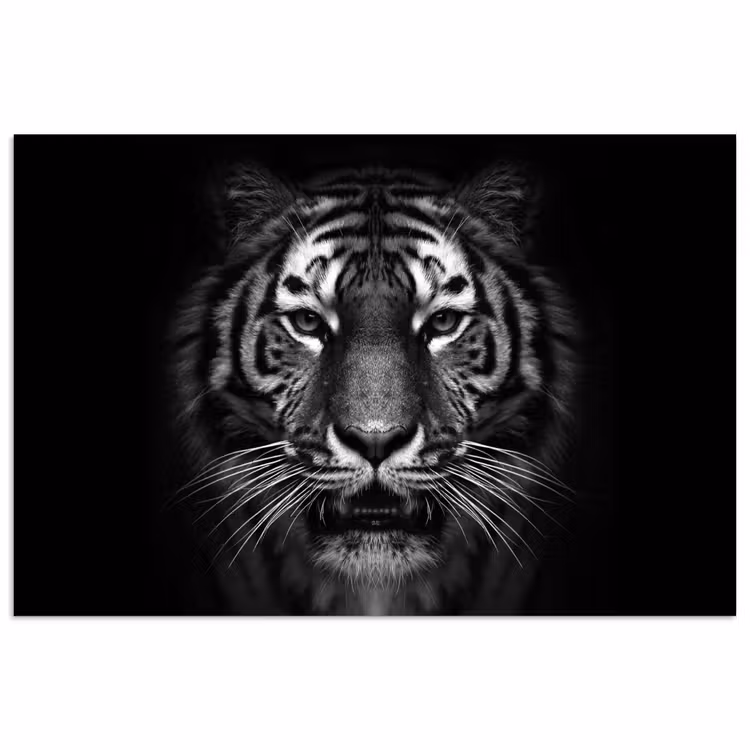 Tijger - Dieren - Zwart - Wit - Portret - Wild poster papier klein -3d