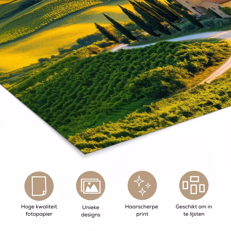 Toscane - Landschap - Wijngaarden poster papier klein -closeup_NL