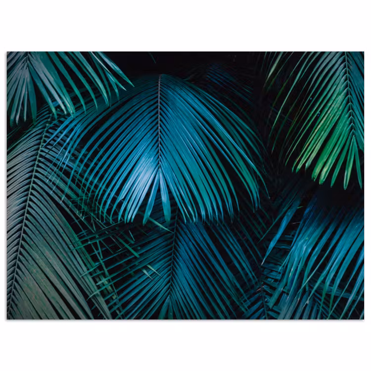 Inductie beschermer - Inductie afdekplaat - Tropical - Jungle - Bladeren - Groen poster papier klein -3d