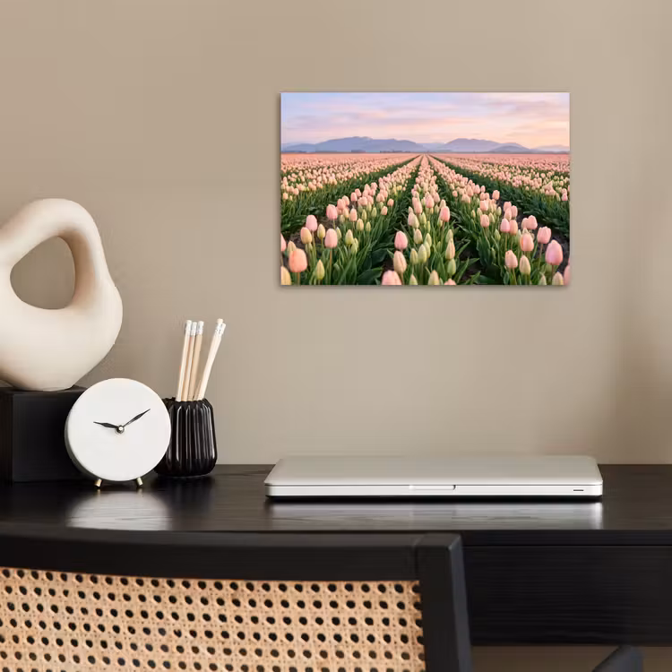 Tulpen - Landschap - Roze poster papier klein -sfeer1