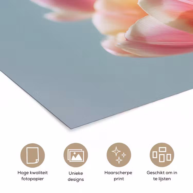 Tulpen - Roze - Stelen poster papier klein -closeup_NL
