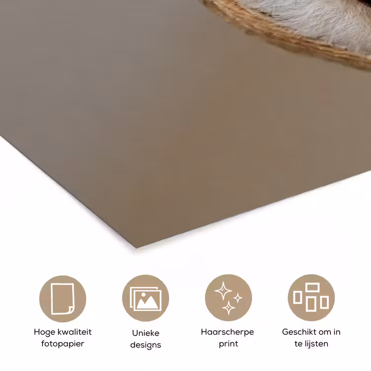 Uil - Bruin - Wit poster papier klein -closeup_NL
