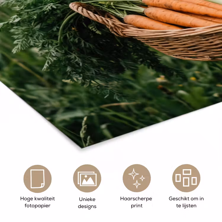Veld - Groenten - Biologisch - Oogst poster papier klein -closeup_NL