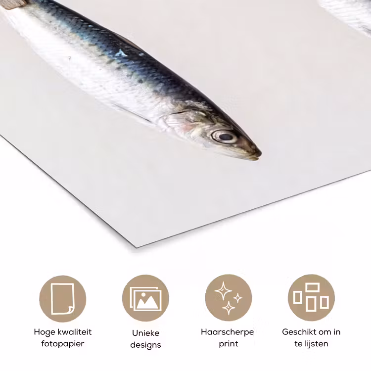 Poster - Vis - Hangend - Eten - Vis - Hangend - Eten poster papier klein