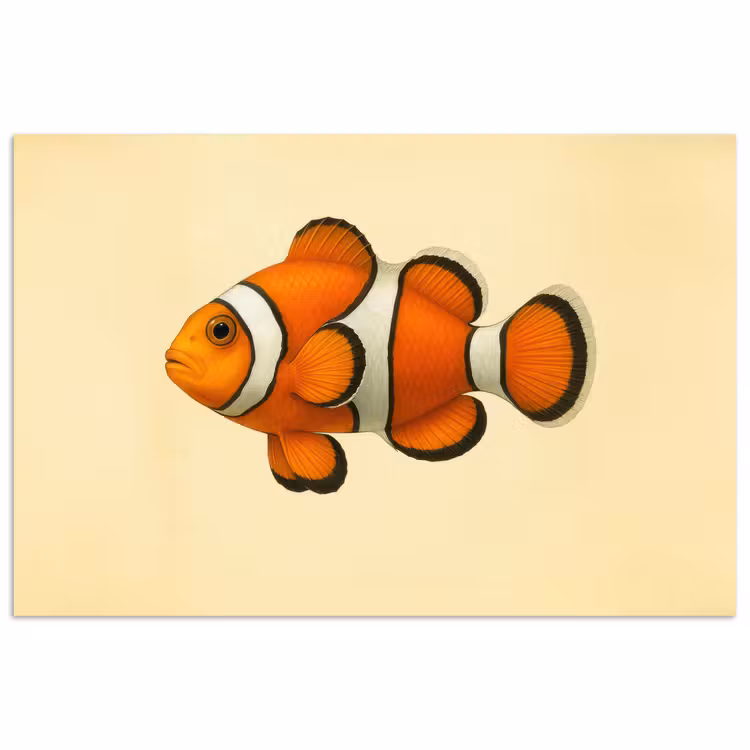 Vis - Oranje - Strepen poster papier klein -3d