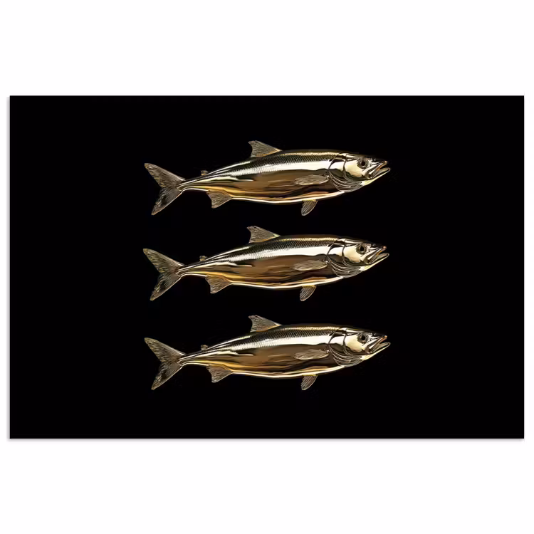 Vissen - Goud - Zwart poster papier klein -3d