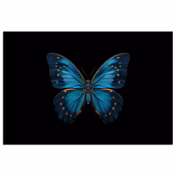 Vlinder - Blauw - Contrast poster papier klein -3d