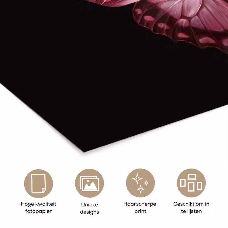 Vlinder - Fuchsia - Grafisch poster papier klein -closeup_NL