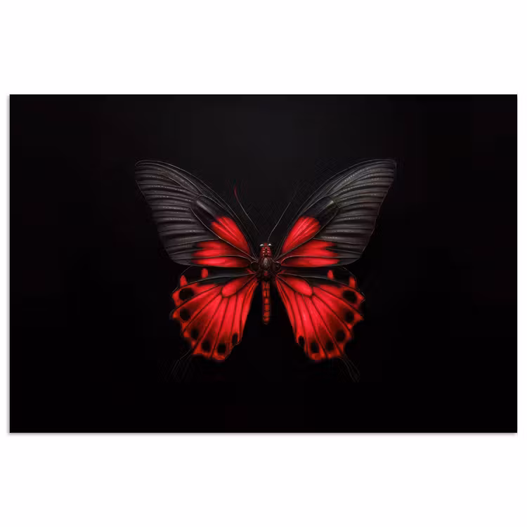 Vlinder - Rood - Contrast poster papier klein -3d