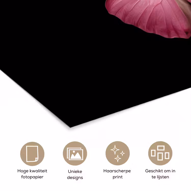 Vlinder - roze - Elegant poster papier klein -closeup_NL