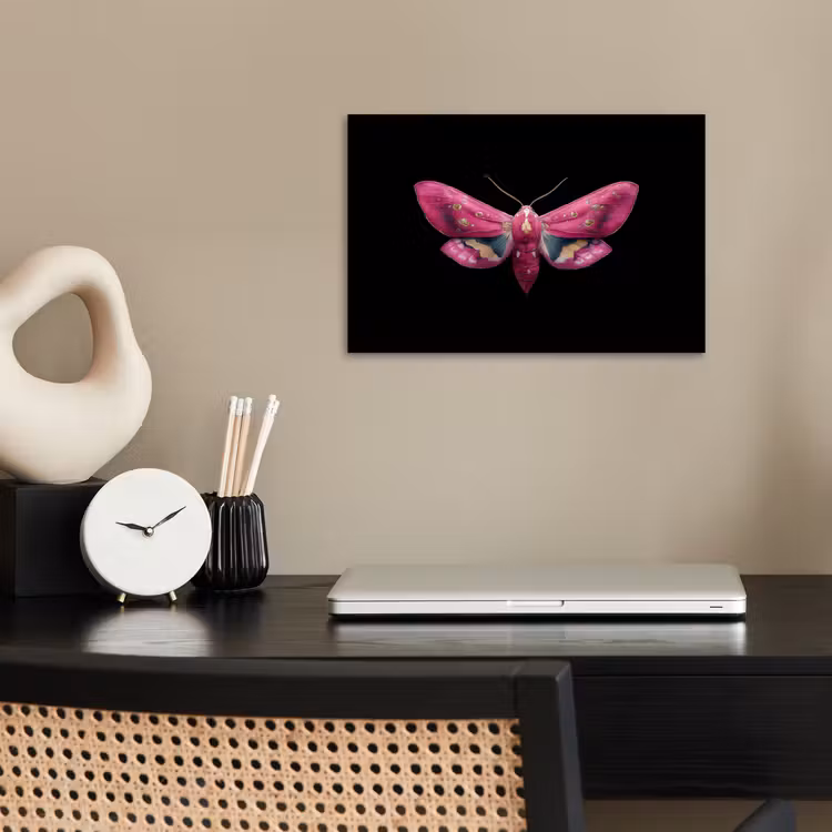 Vlinder - Roze - Nachtvlinder poster papier klein -sfeer1