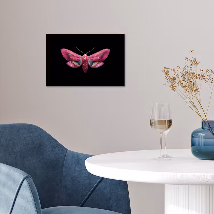 Vlinder - Roze - Nachtvlinder poster papier klein -sfeer3
