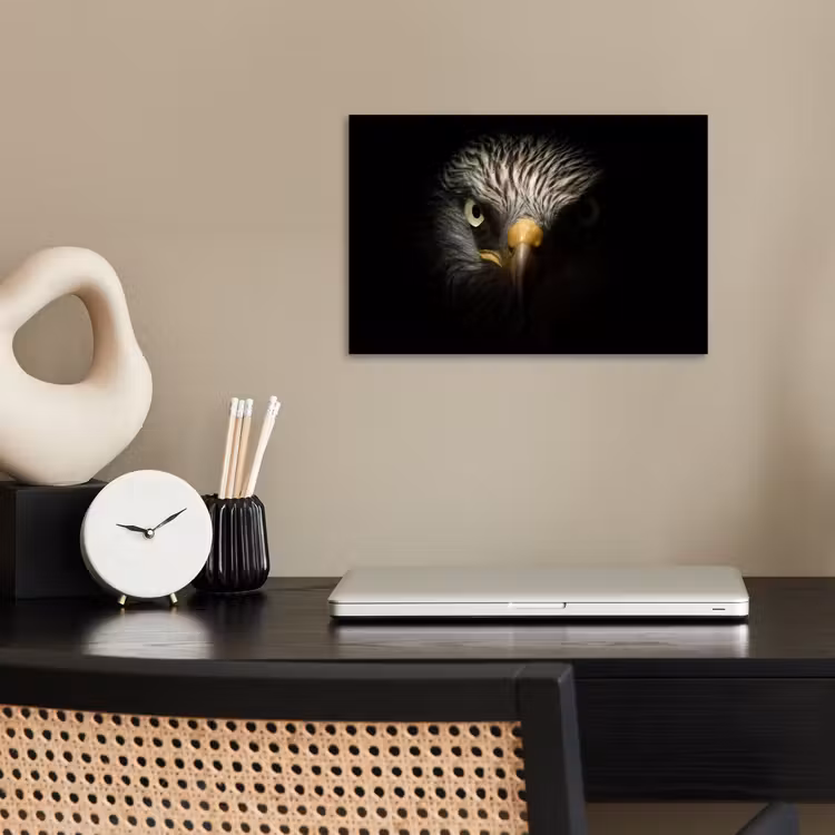Vogel - Adelaar - Roofvogels - Oog - Snavel - Licht poster papier klein -sfeer1