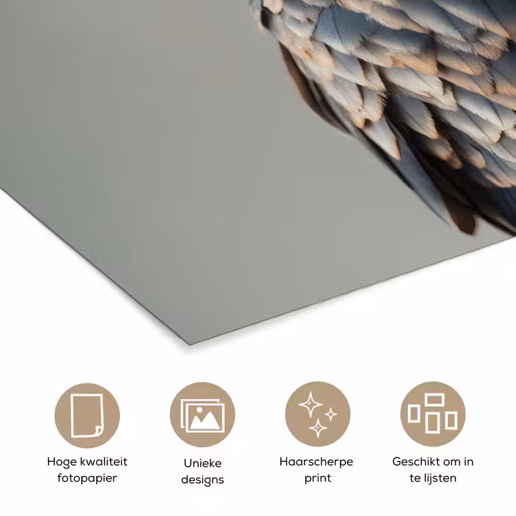 Vogel - Realistisch - Veren - Bruin poster papier klein -closeup_NL