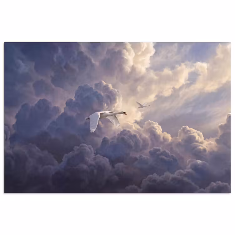 Vogel - Vliegend - Natuur - Wit - Wolken poster papier klein -3d