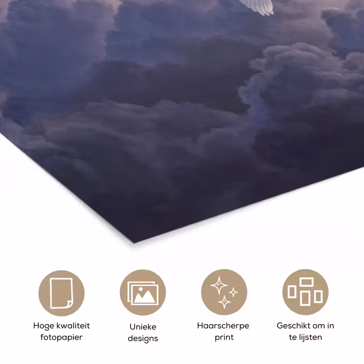 Vogel - Vliegend - Natuur - Wit - Wolken poster papier klein -closeup_NL