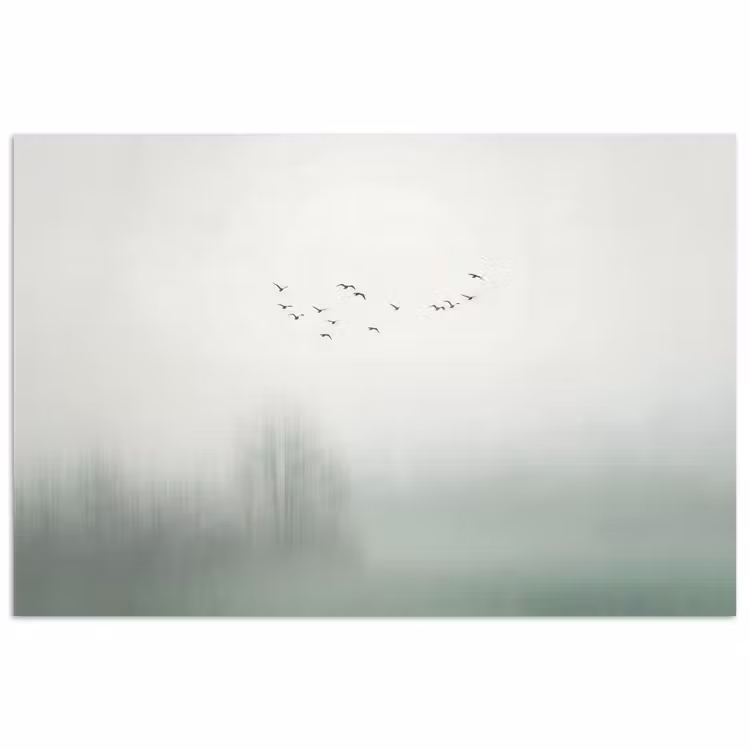Vogel - Vlucht - Natuur - Minimalistisch poster papier klein -3d