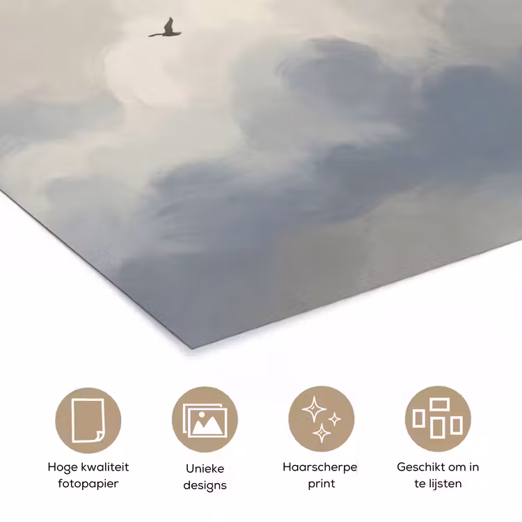 Vogel - Wolken - Natuur - Modern - Grijs poster papier klein -closeup_NL