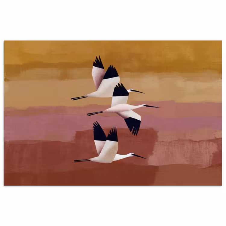 Vogels - Snavel - Abstract poster papier klein -3d