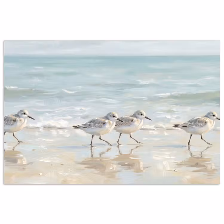 Vogels - Strand - Zee poster papier klein -3d