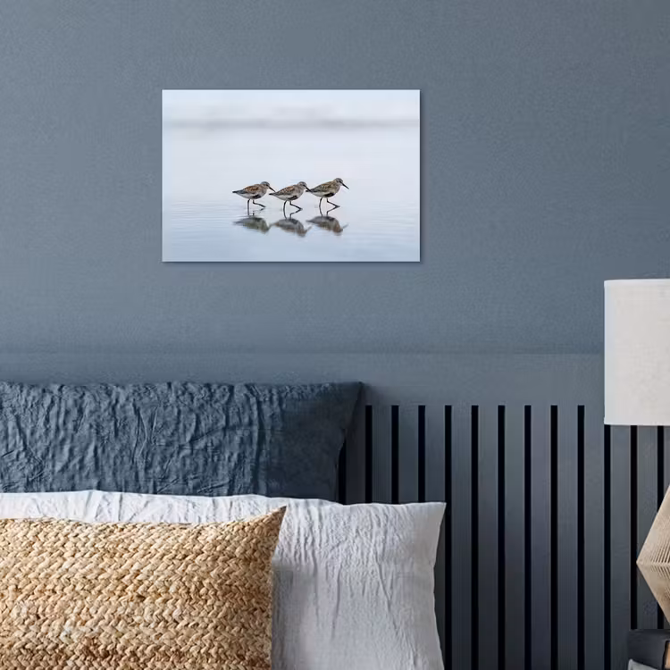 Vogels - Water - Grijs poster papier klein -sfeer2