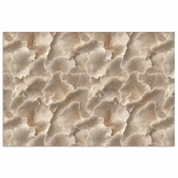 Waaierstructuren - Beige - Vezeltextuur poster papier klein 62 -3d