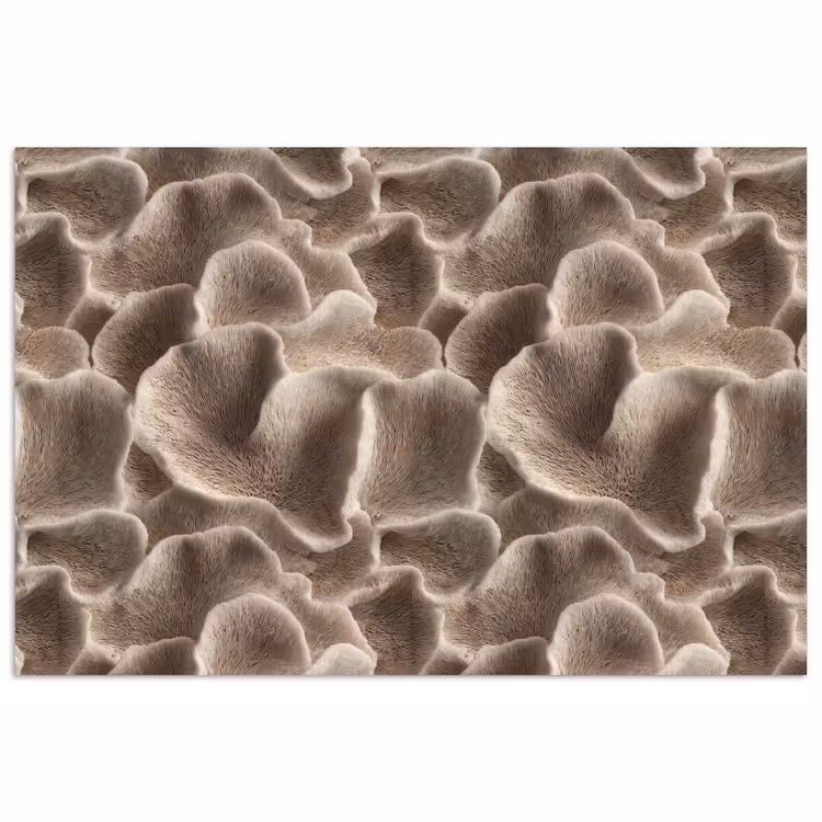 Waaiervorm - Beige - Vezel textuur poster papier klein 62 -3d