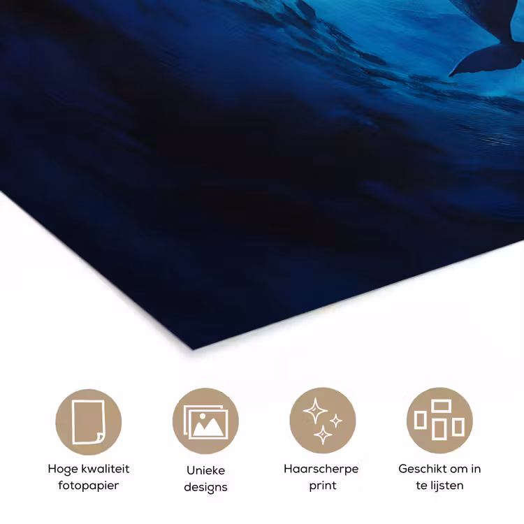 Walvis - Vissen - Donkerblauw poster papier klein -closeup_NL