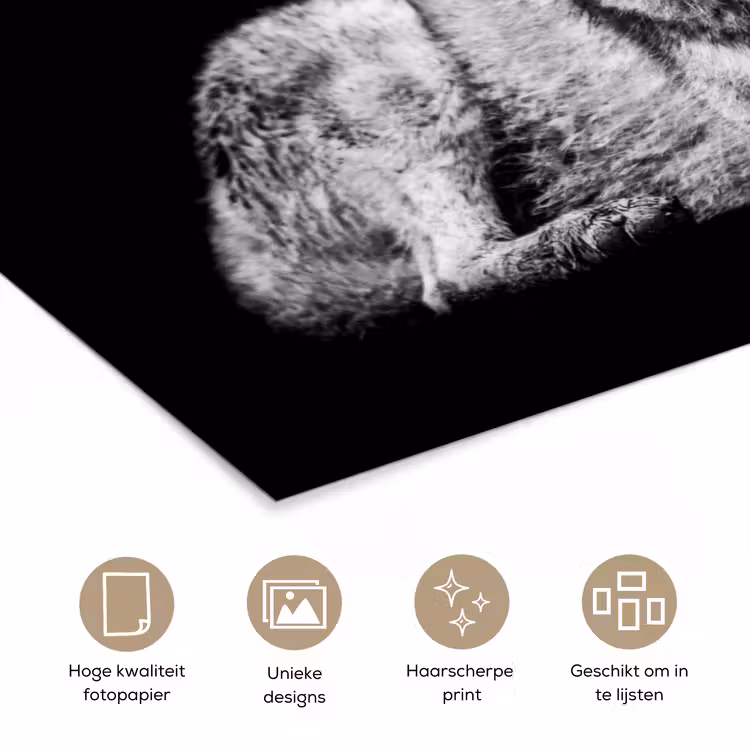 Wilde dieren - Wolf - Zwart - Wit poster papier klein -closeup_NL