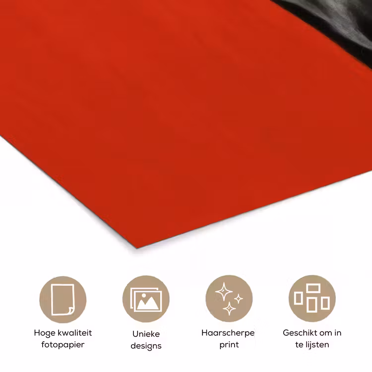 Windhond - Minimalistisch - Rood poster papier klein -closeup_NL