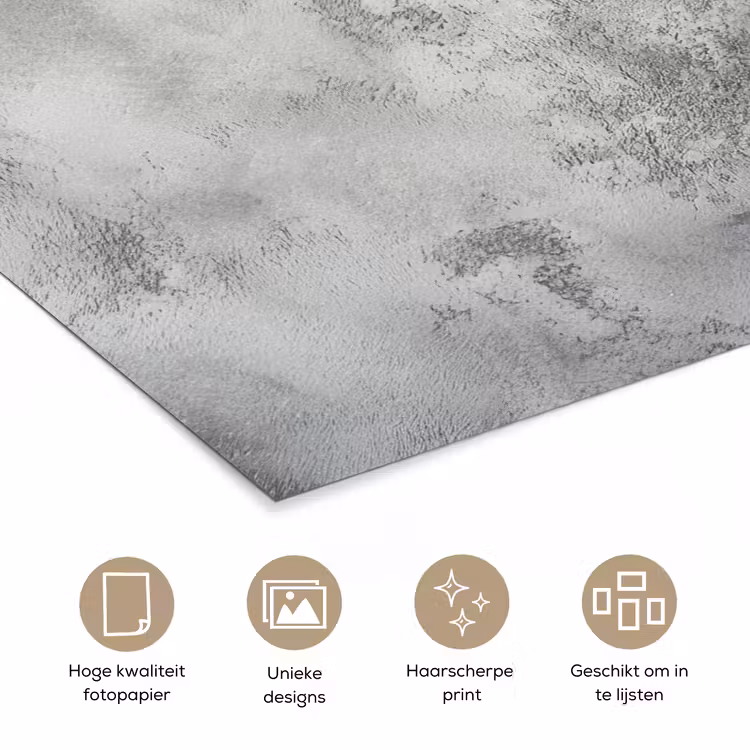 Winter - Kerst - Beton - Dennenappels poster papier klein -closeup_NL